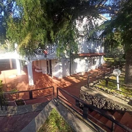 Villa Lia - Ischia Porto Eksteriør bilde
