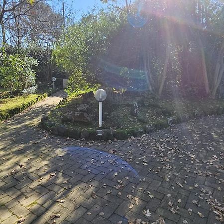 Villa Lia - Ischia Porto Eksteriør bilde