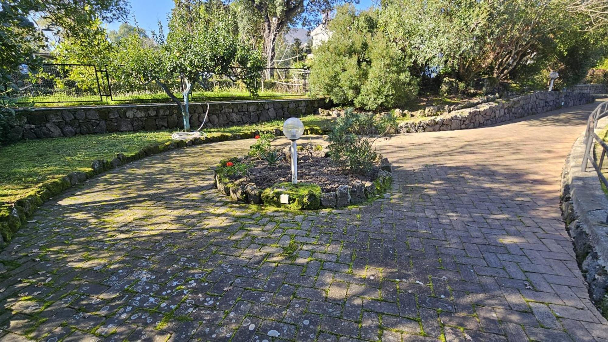 Villa Lia - Ischia Porto Eksteriør bilde