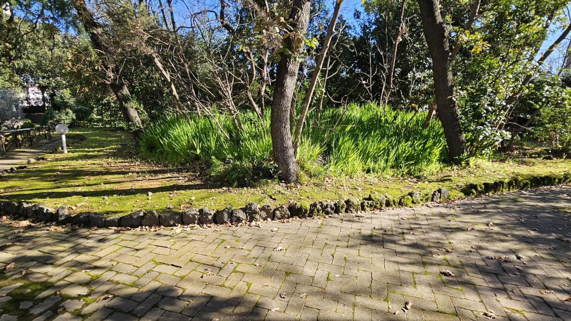 Villa Lia - Ischia Porto Eksteriør bilde
