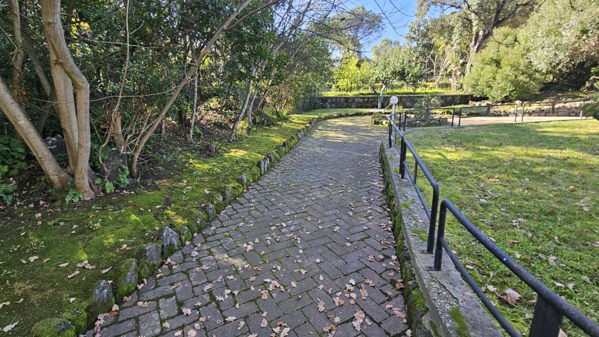Villa Lia - Ischia Porto Eksteriør bilde