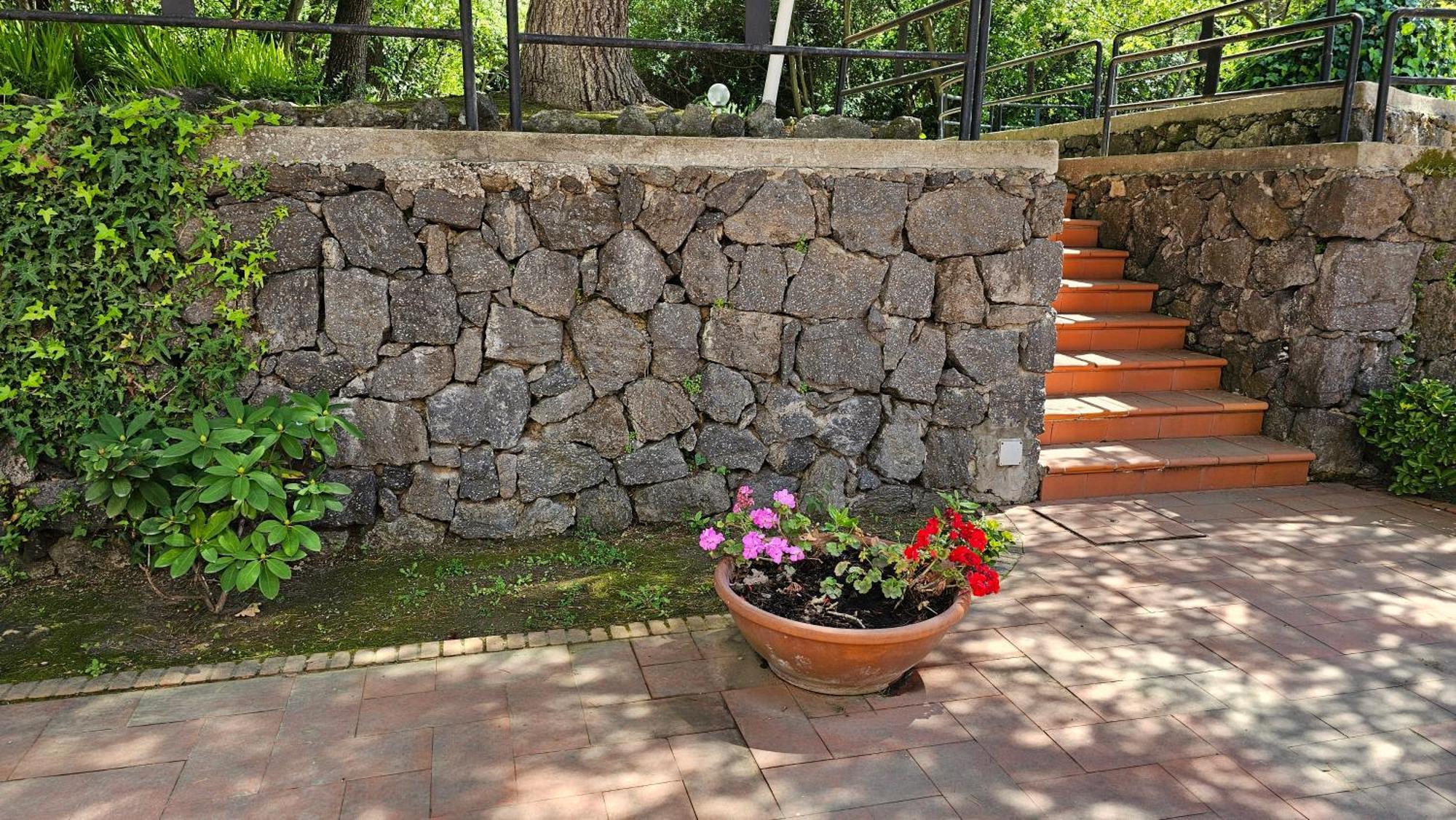 Villa Lia - Ischia Porto Eksteriør bilde